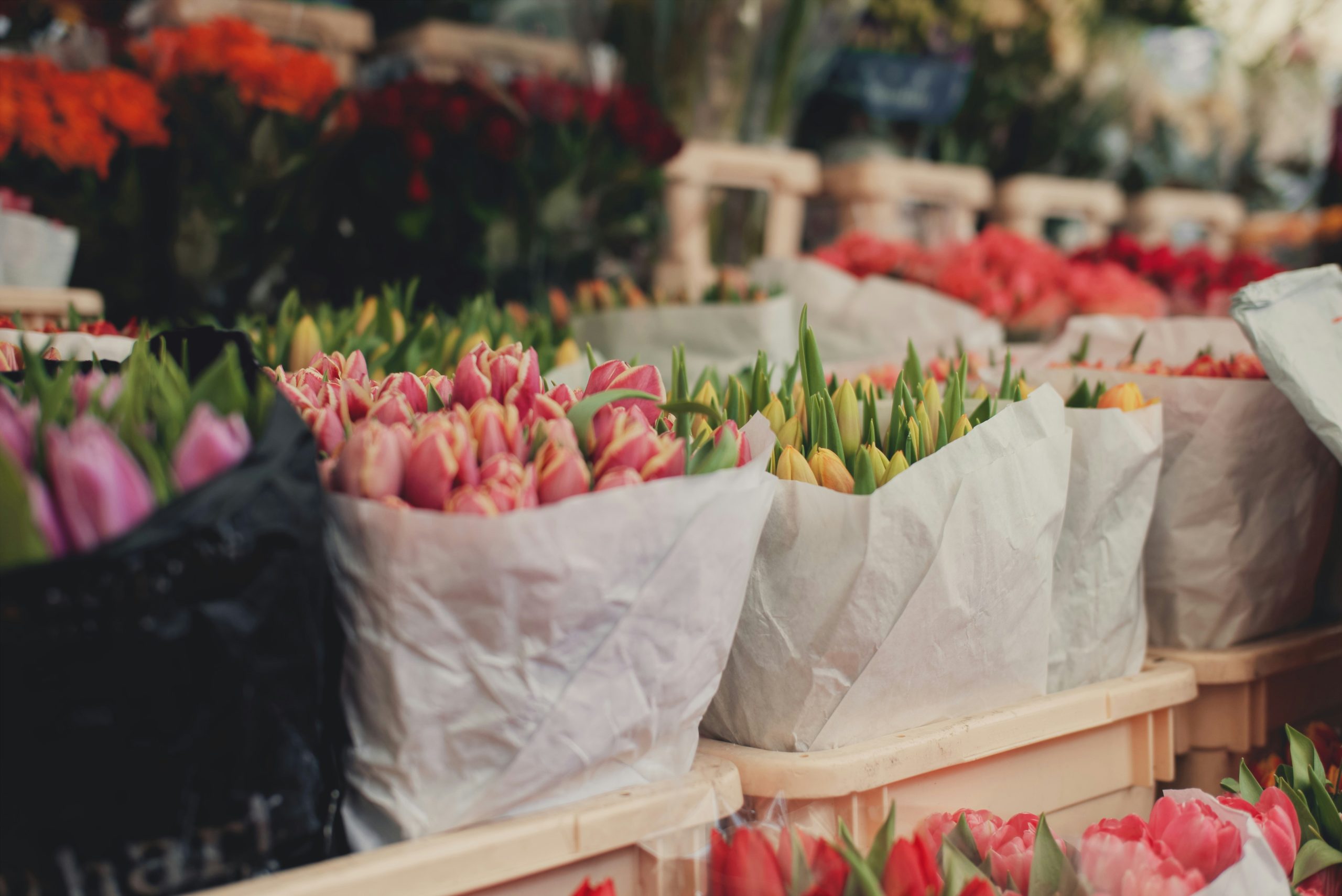 Photo by Wei Khang Chong on Unsplash
